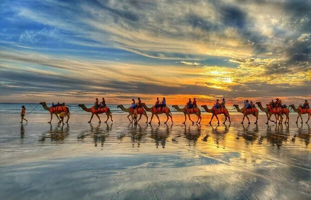 Camel Ride